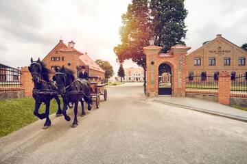 Фото Отель Pałac Mortęgi Hotel &amp; SPA г. Lubawa 4